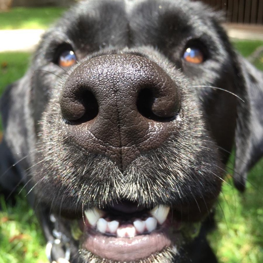 Petunia Does Posh -Enjoy my mom's closet!